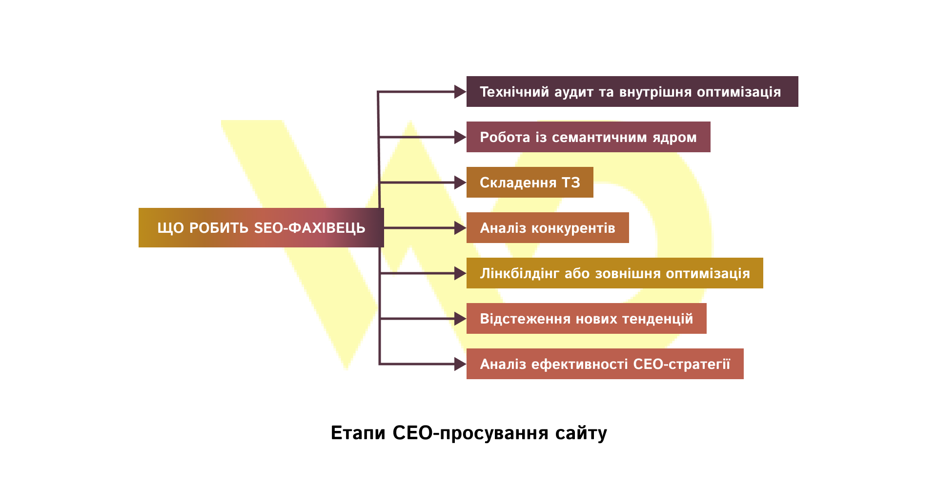 Етапи СЕО-просування сайту | WEDEX