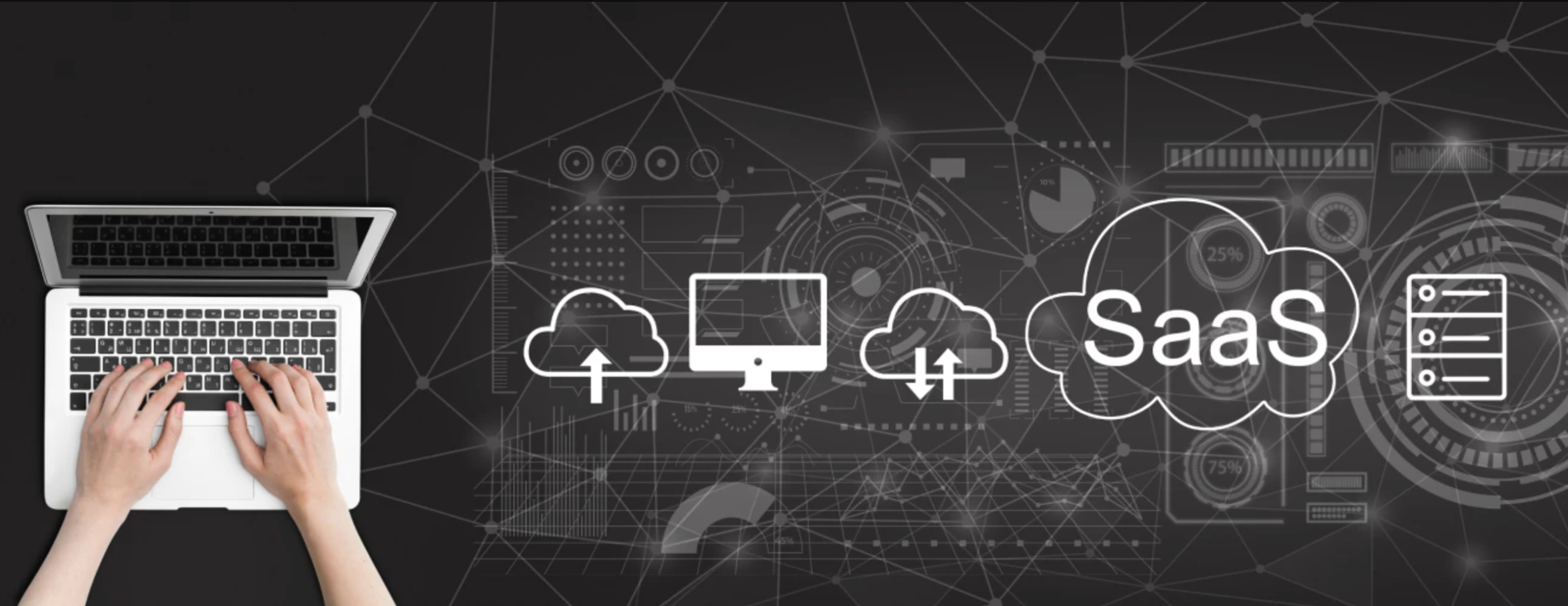Advantages and disadvantages of custom CMS | WEDEX
