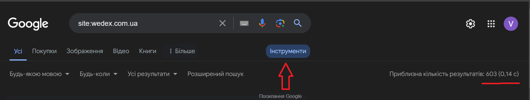 How to check website indexing | WEDEX
