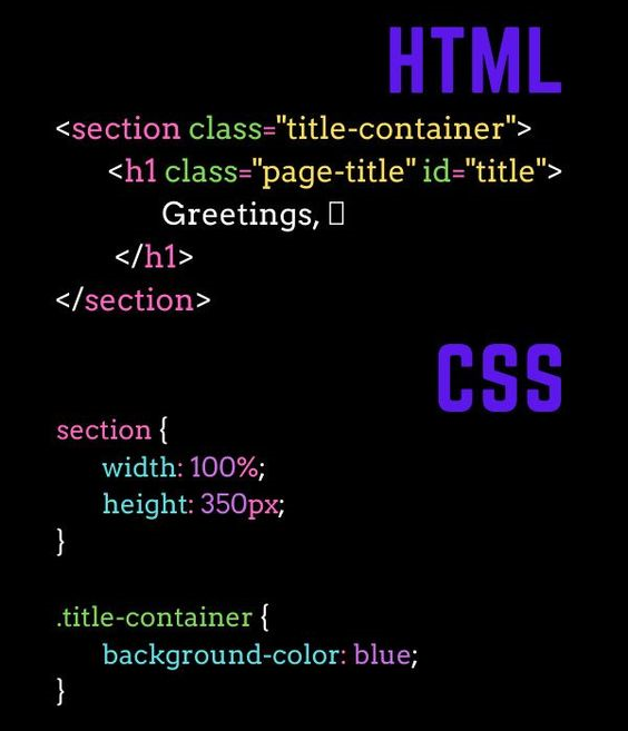 Writing HTML code | WEDEX