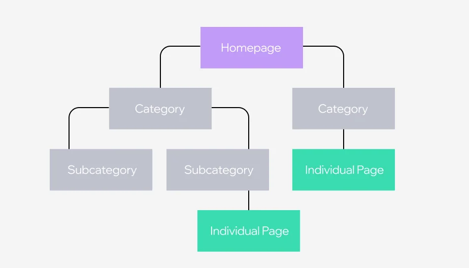 Web page layout process | WEDEX