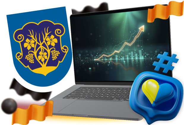 SEO website promotion in <span>Uzhhorod</span>