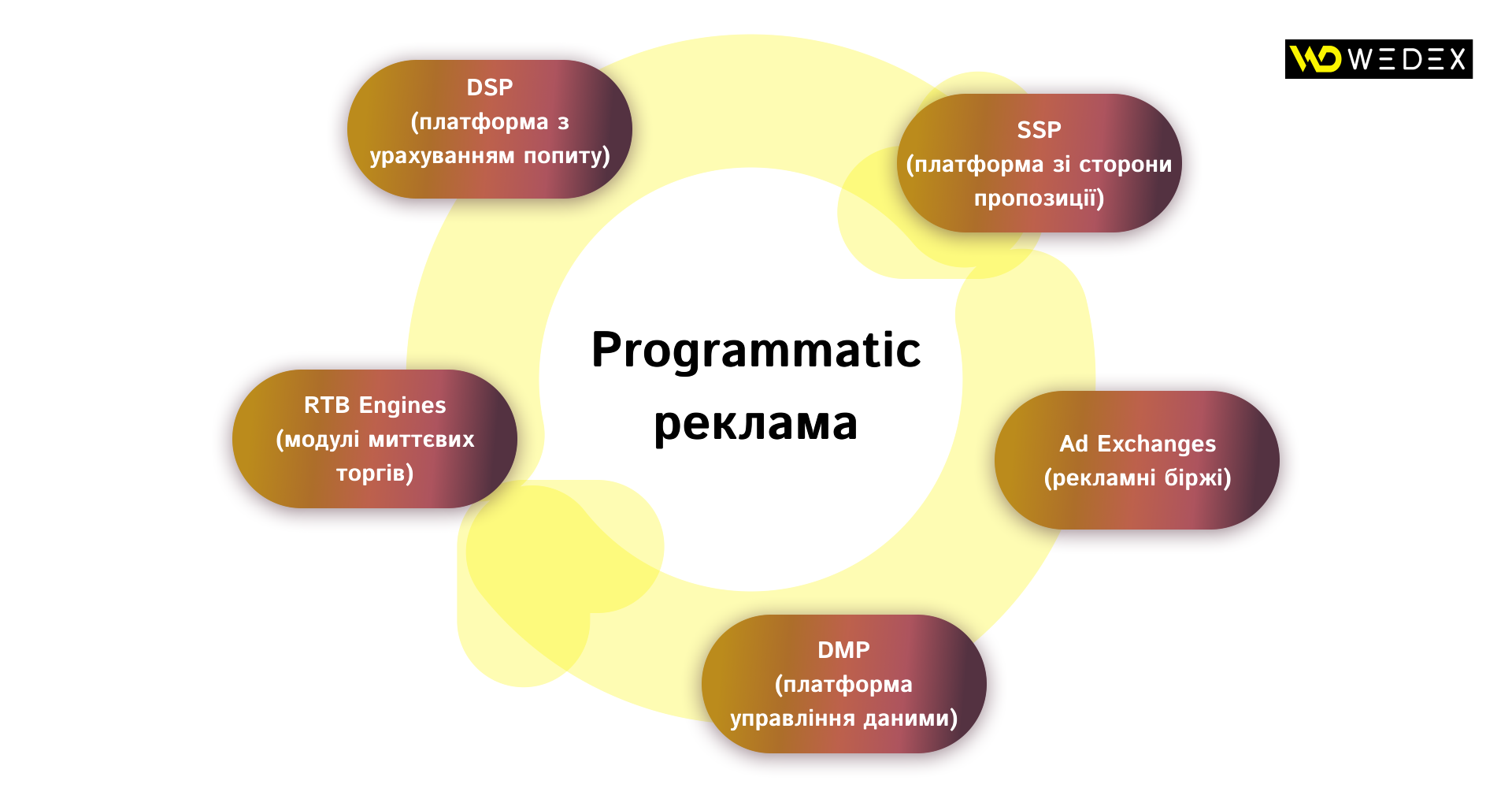Ключові компоненти екосистеми Programmatic реклами | WEDEX