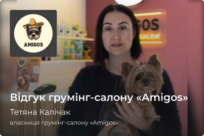 Amigos | WEDEX