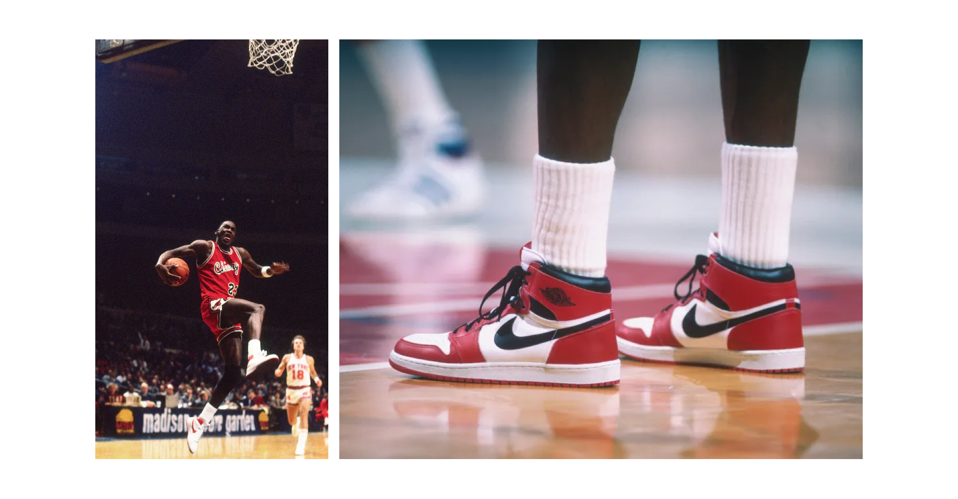 Nike x Air Jordan | WEDEX