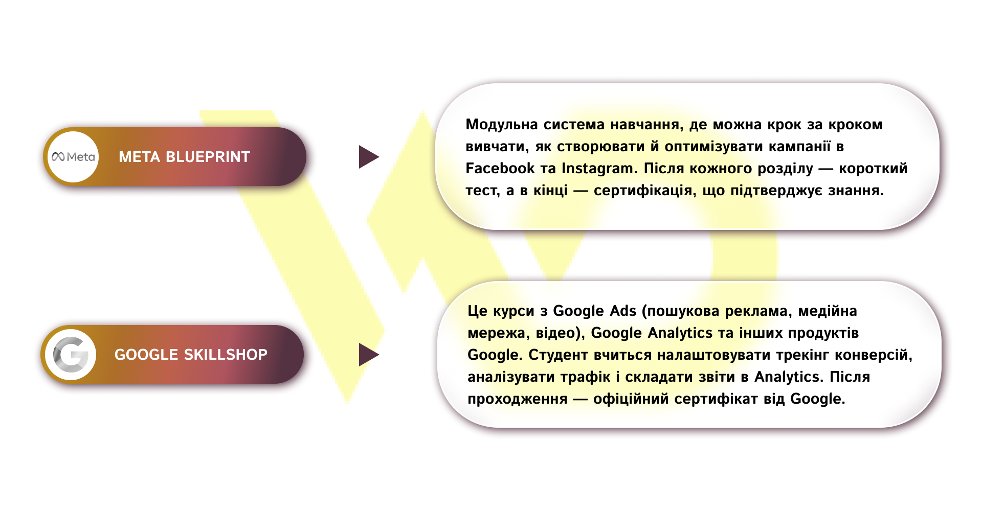 Офіційні безкоштовні сертифікації | WEDEX