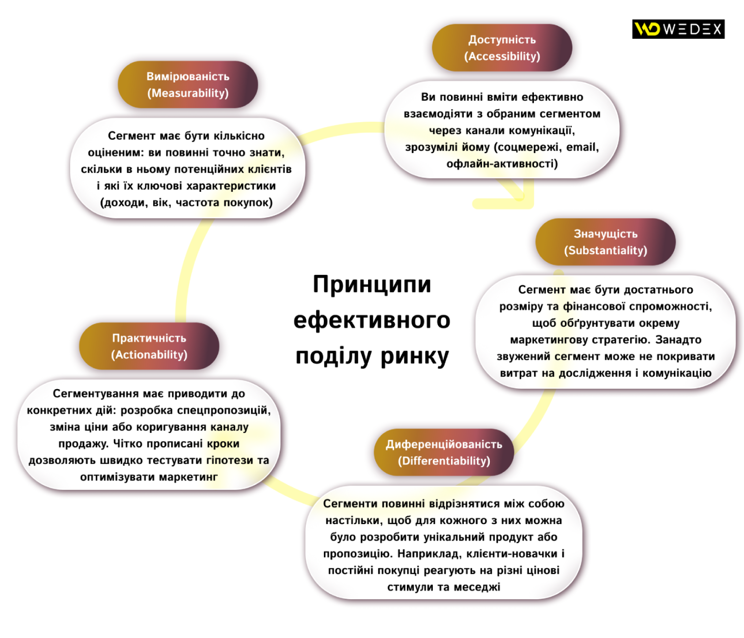 Принципи ефективного поділу ринку | WEDEX