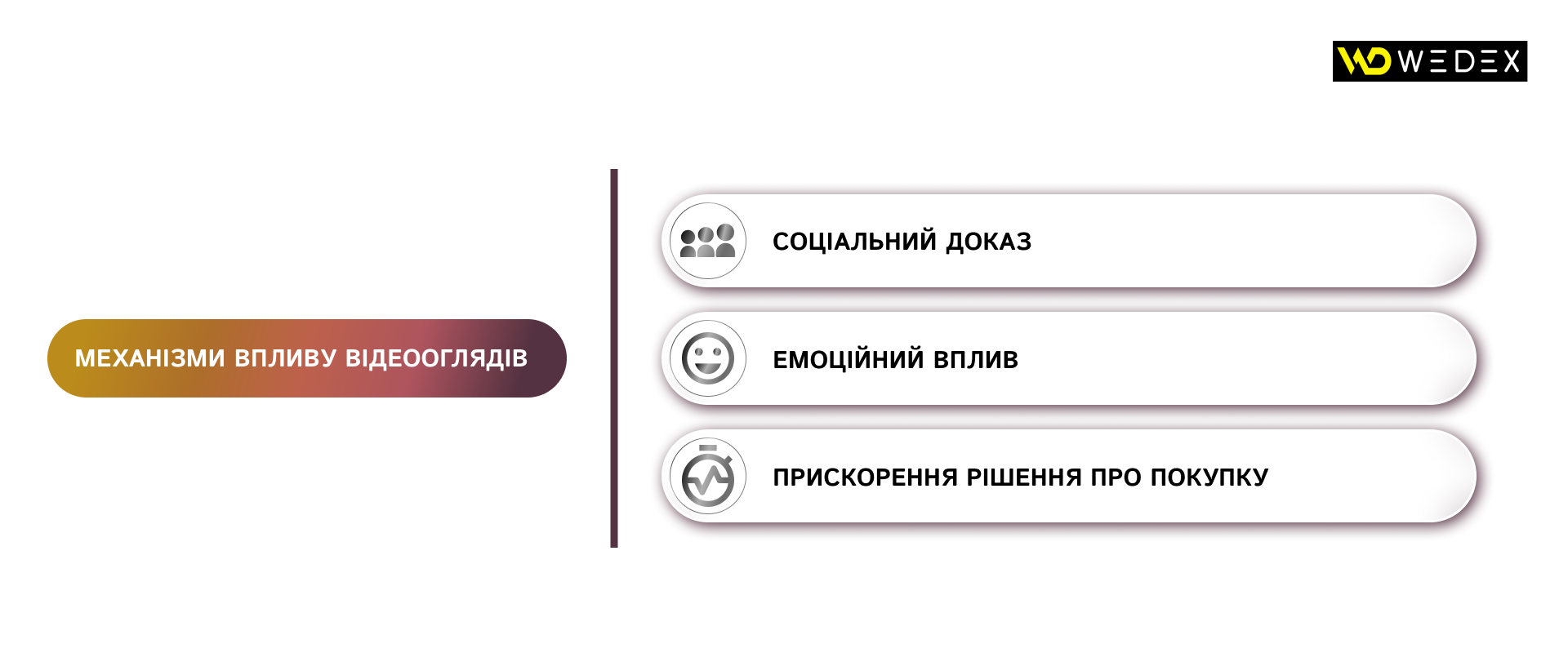 Механізми впливу відеооглядів | WEDEX