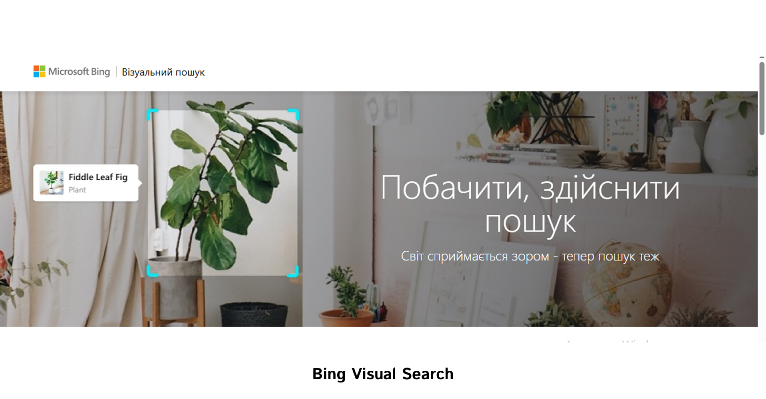 Bing Visual Search | WEDEX