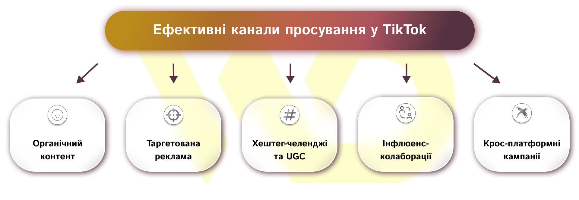 Ефективні канали просування у TikTok | WEDEX