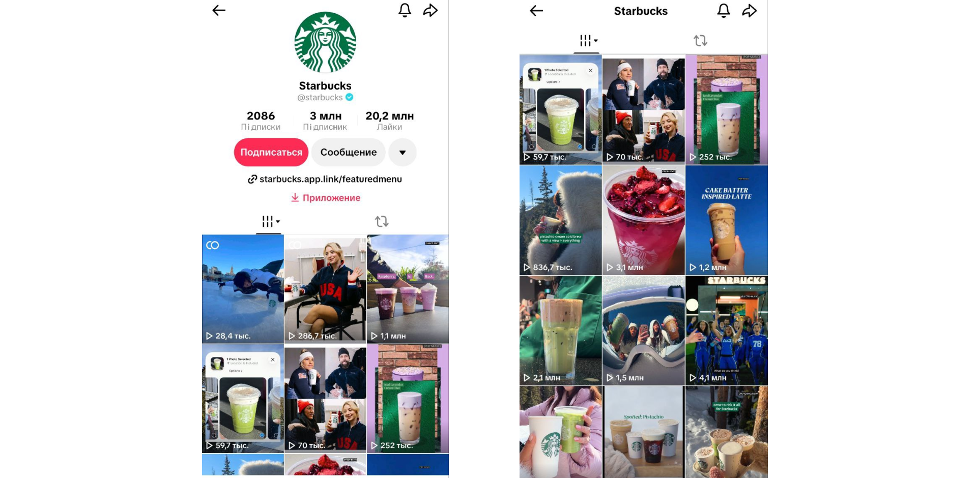 Старбакс | WEDEX