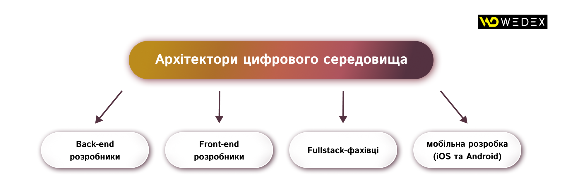 Архітектори цифрового середовища | WEDEX