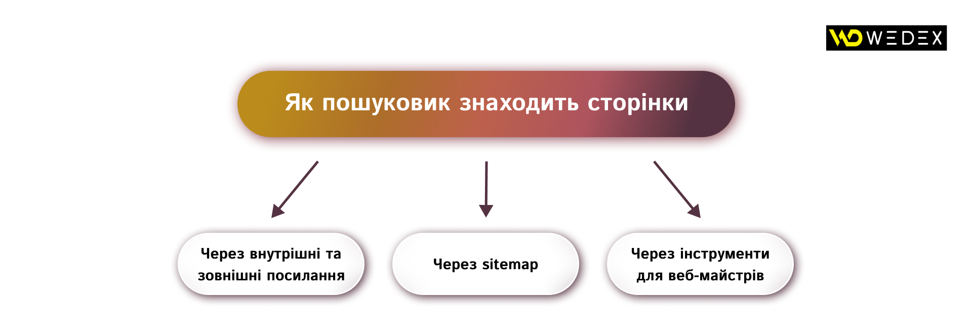 Як пошуковик знаходить сторінки (1) | WEDEX