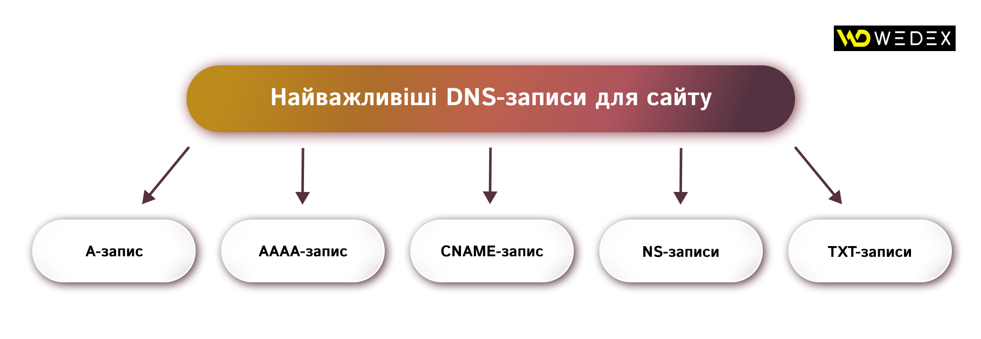 Які DNS-записи найважливіші для сайту | WEDEX