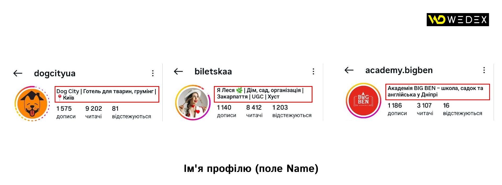 Ім_я профілю (поле Name) | WEDEX