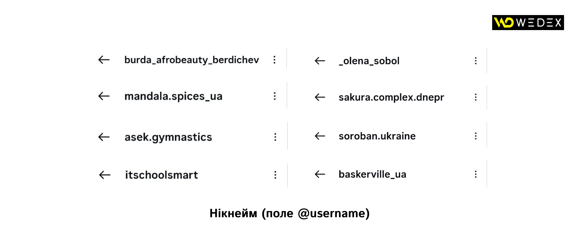 Нікнейм (поле @username) | WEDEX