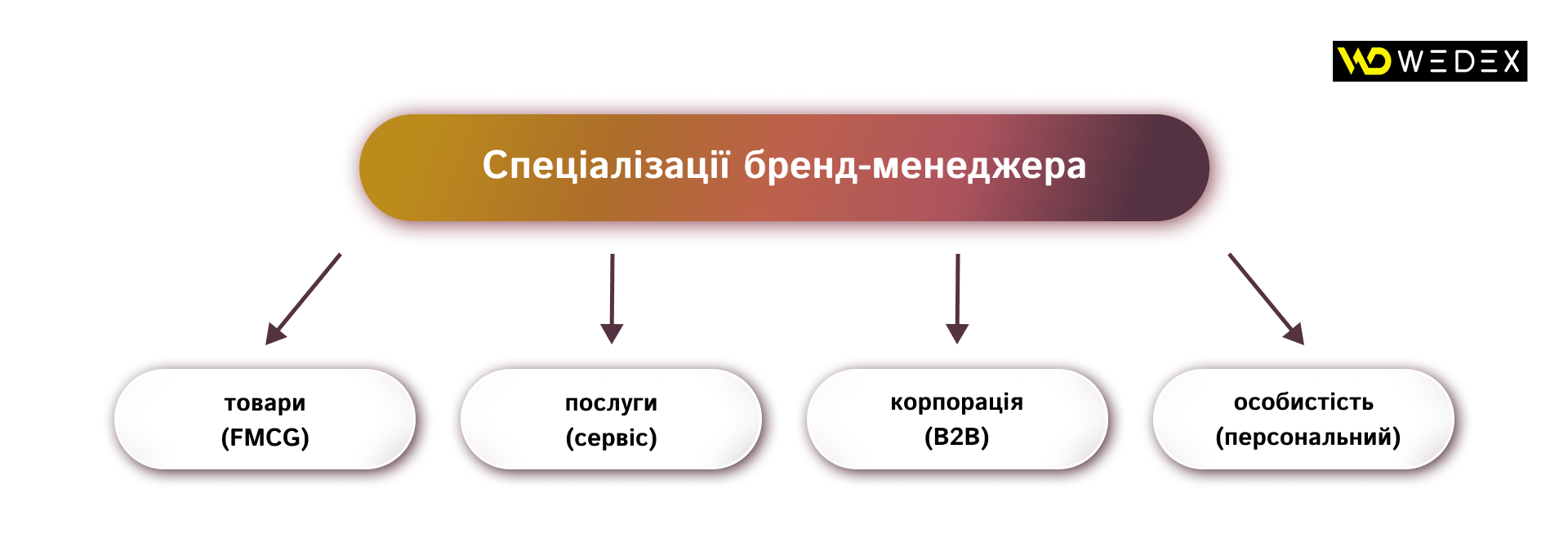Спеціалізації бренд-менеджера | WEDEX