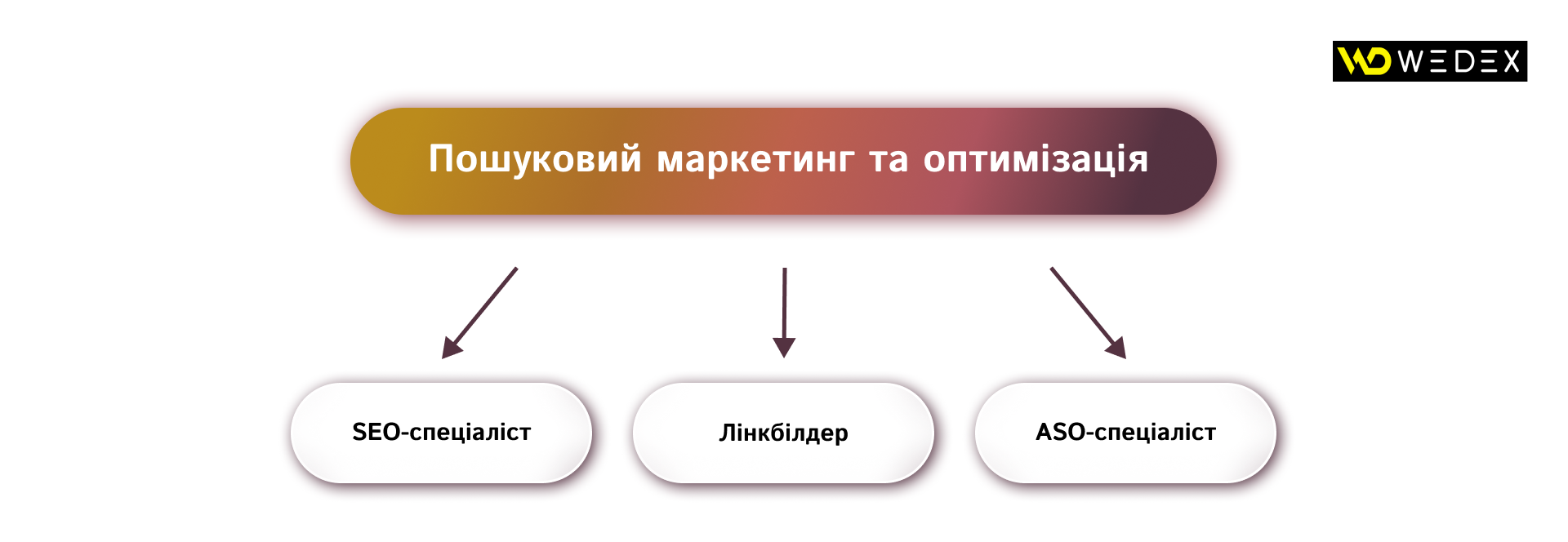 Пошуковий маркетинг та оптимізація | WEDEX