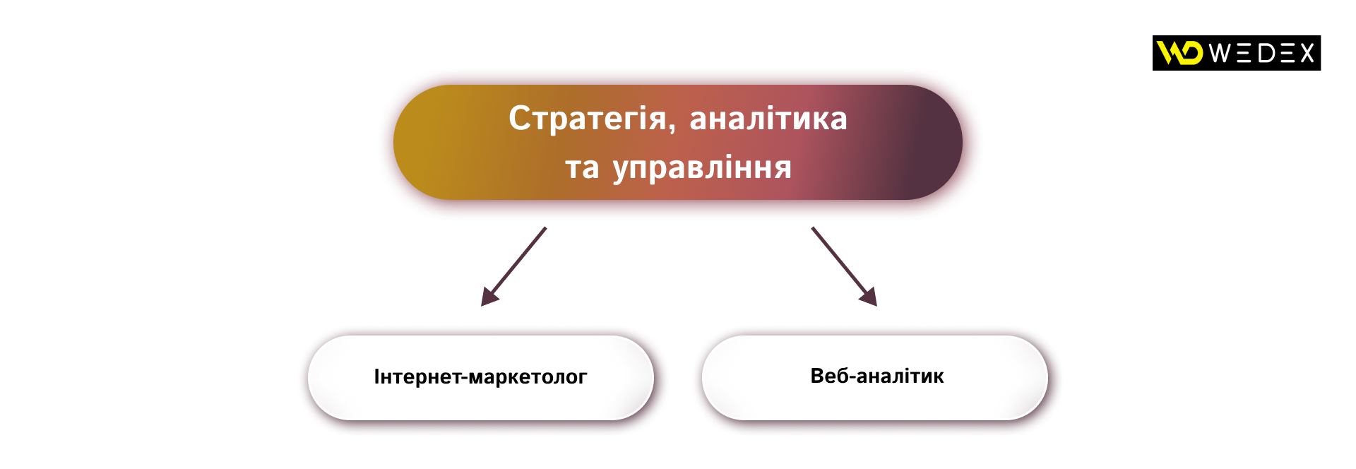 Стратегія, аналітика та управління | WEDEX