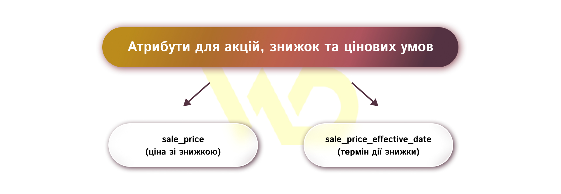 Атрибути для акцій, знижок та цінових умов | WEDEX