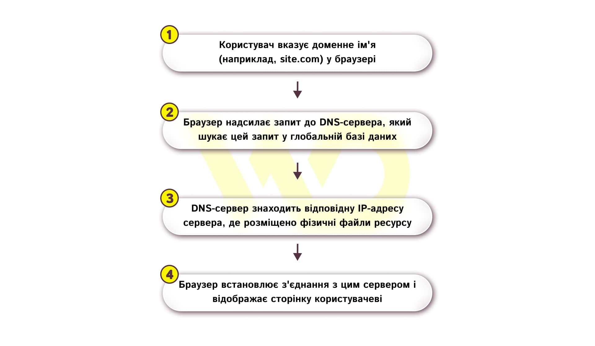 Принцип роботи DNS | WEDEX