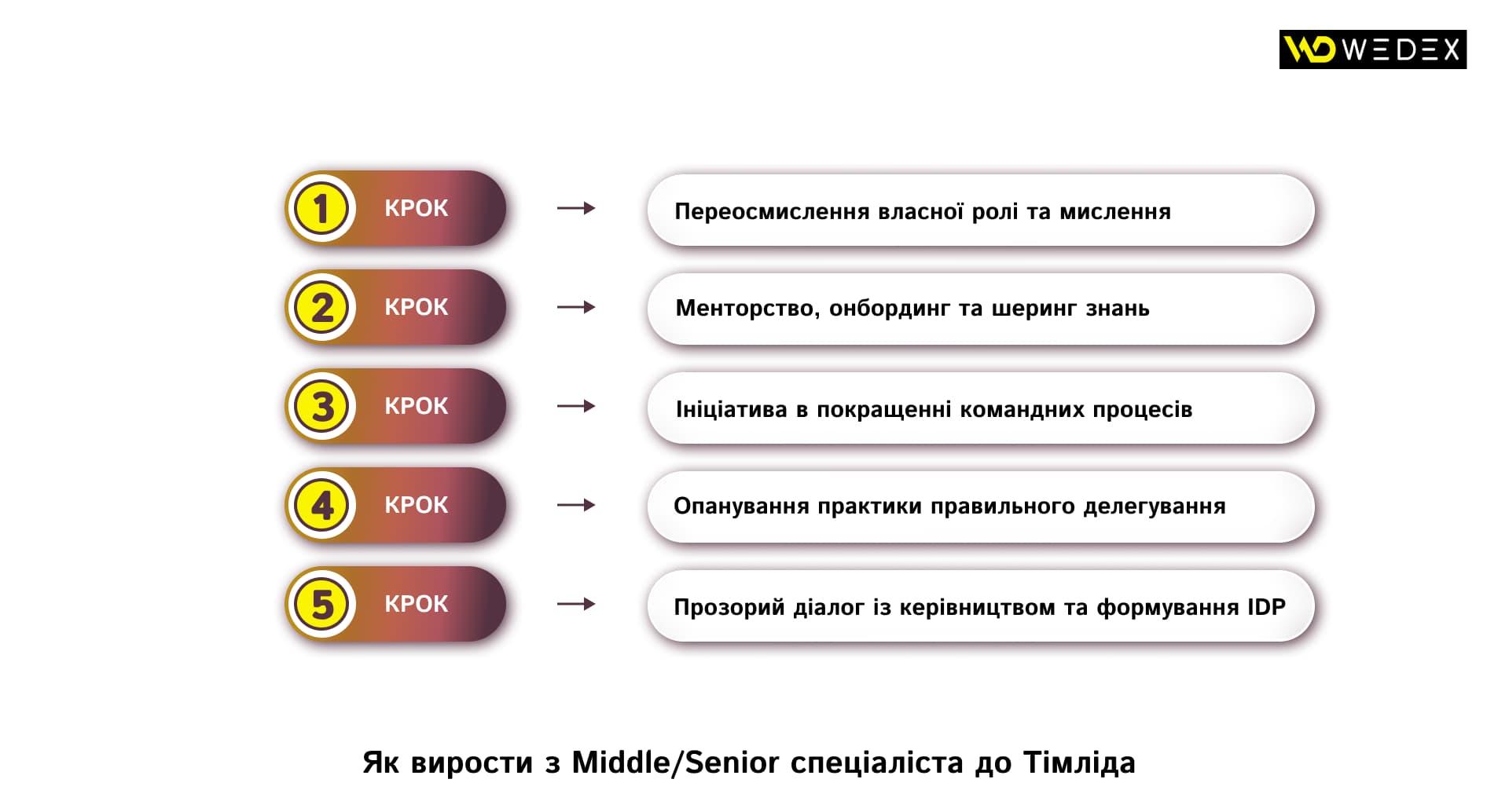 Як вирости з Middle Senior спеціаліста до Тімліда | WEDEX